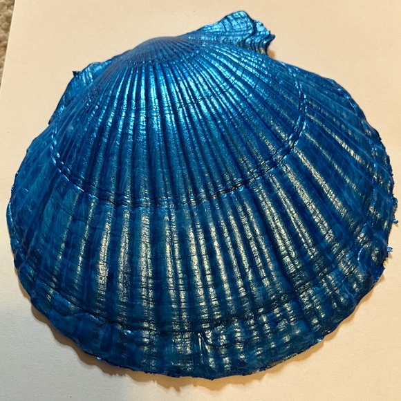 Superbowl Doggies Football Blue Decoupage Handcrafted Shell Dish - Picture 4 of 5